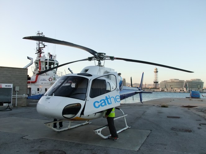 Das Objekt der Begierde