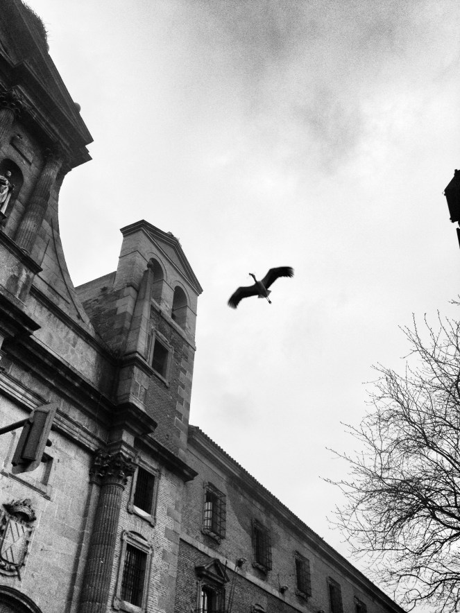 Alcalá de Henares - die Stadt der Störche