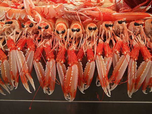 Einfach mal abhängen