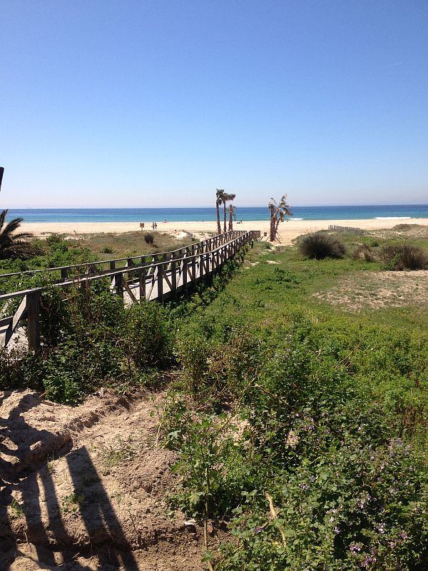 Lieber den sicheren Weg einschlagen