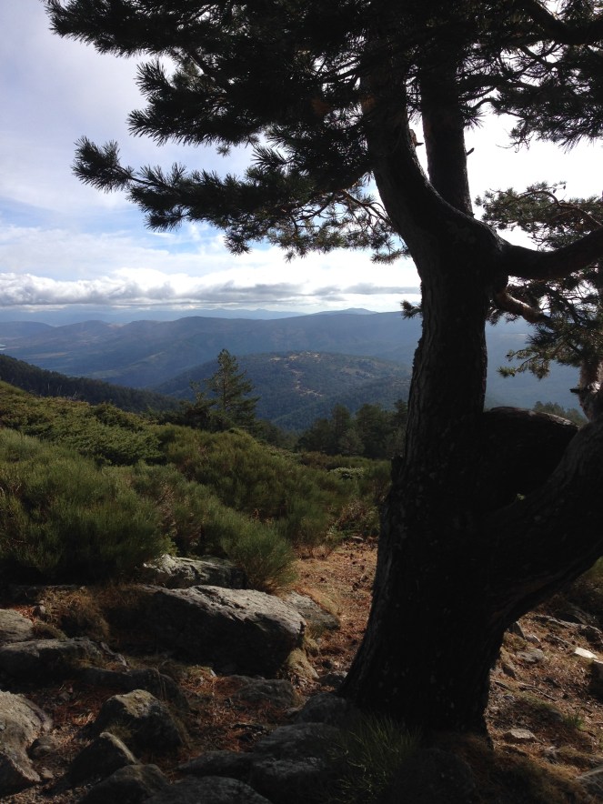 Mirador de la Gitana