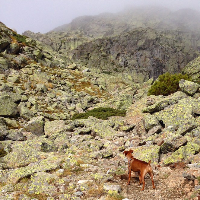 Über Stock und über Stein